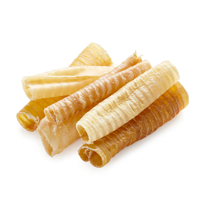 beeftrachea6